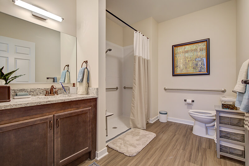 Accessible one-bedroom apartment bathroom with walk-in shower, grab bars, and granite vanity at Amazing Grace Senior Living