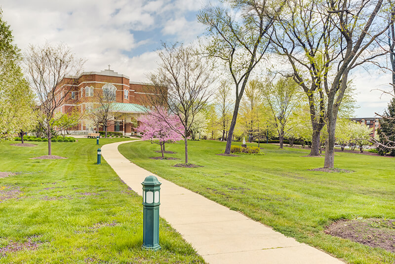 Scenic walkway lined with trees leading to the main building at Amazing Grace Senior Living