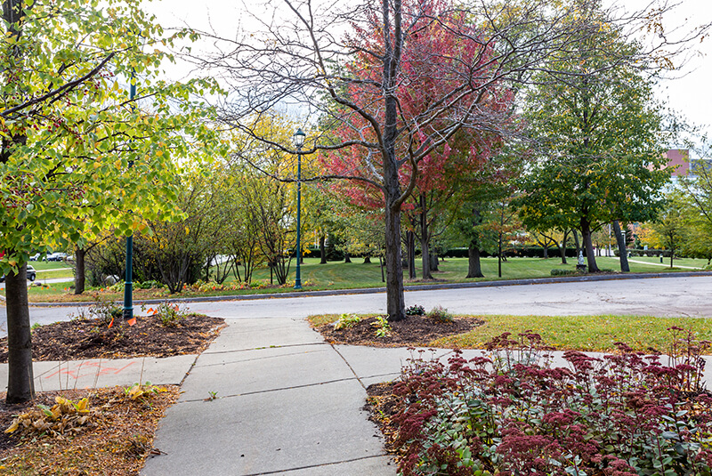 Serene walking trail through landscaped grounds at Amazing Grace Senior Living