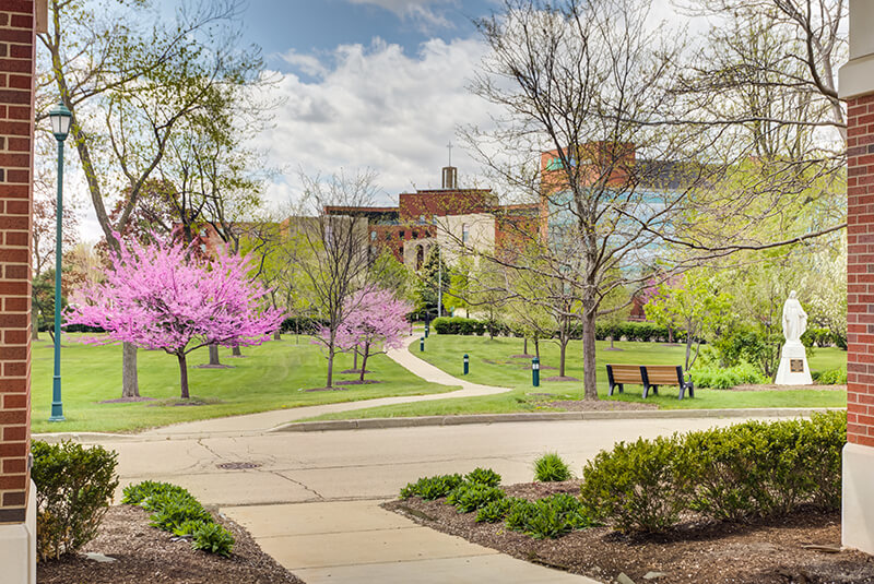 View from the entrance showing walking paths, benches, and flowering trees at Amazing Grace Senior Living